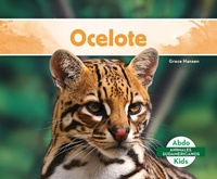 Enlarge image Cover: Ocelote (Ocelot) - Abdo Kids Jumbo