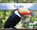 Cover: Tucan (Toucan) - Abdo Kids Jumbo