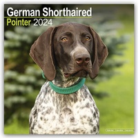 Bild vergrößern Bild: German Shorthaired Pointer - Deutsch Kurzhaar 2024 - 16-Monatskalender - Avonside Publishing Ltd