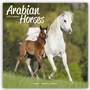 Bild: Arabians - Araber - Araber Pferde 2024 - 16-Monatskalender - Avonside Publishing Ltd