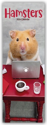 Abbildung von: Hamsters - Hamster 2024 - Avonside Publishing Ltd