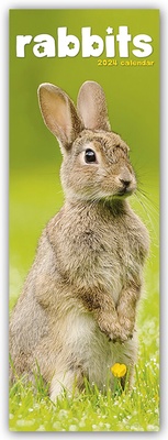 Abbildung von: Rabbits - Kaninchen 2024 - Avonside Publishing Ltd