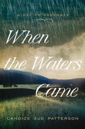 Cover: When the Waters Came - Barbour Fiction