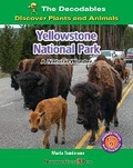 Cover: Yellowstone National Park: A Natural Wonder - Norwood House Press