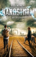 Cover: Nanosturm - Books on Demand