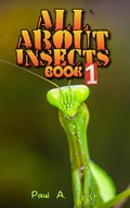 Cover: All About Insects - Growing Word Ink