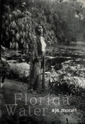 Cover: Florida Water - Haymarket Books