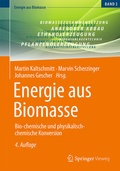 Cover: Energie aus Biomasse - Springer Vieweg