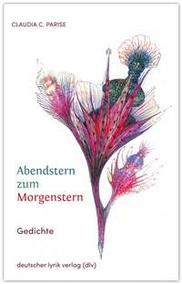 Abbildung von: Abendstern zum Morgenstern - Fischer, Karin