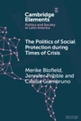 Cover: The Politics of Social Protection During Times of Crisis - Cambridge University Press