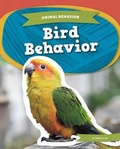 Cover: Bird Behavior - Kids Core