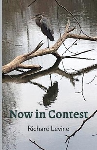 Enlarge image Cover: Now in Contest - Fernwood Press