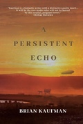 Cover: A Persistent Echo - BLACK ROSE WRITING
