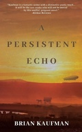 Cover: A Persistent Echo - BLACK ROSE WRITING