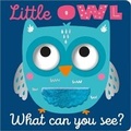 Cover: Little Owl What Can You See? - Make Believe Ideas