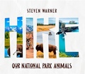 Cover: HIKE - Steven Warner