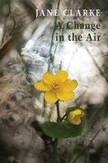 Cover: A Change in the Air - Bloodaxe Books