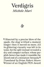 Cover: Verdigris - And Other Stories