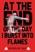 Cover: At The End Of The Day I Burst Into Flames - Rooster Republic Press