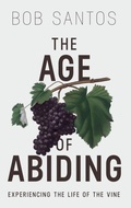 Cover: The Age of Abiding - Search for Me Ministries, Inc.