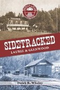 Cover: Sidetracked - Zayante Publishing