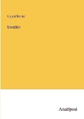 Cover: Novellen - Anatiposi Verlag