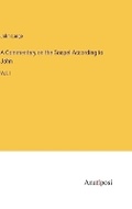 Cover: A Commentary on the Gospel According to John - Anatiposi Verlag