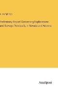 Cover: Preliminary Report Concerning Explorations and Surveys Principally in Nevada and Arizona - Anatiposi Verlag