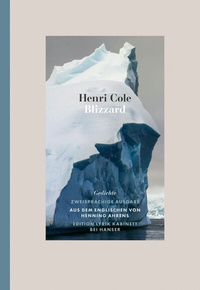 Enlarge image Cover: Blizzard - Hanser