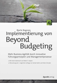 Abbildung von: Implementierung von Beyond Budgeting - dpunkt