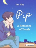 Cover: Pip - Passerino