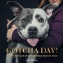 Cover: Gotcha Day - Gibbs M. Smith Inc