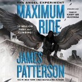 Cover: The Angel Experiment - Hachette Book Group