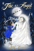 Cover: Jac a'r Angel - Y Lolfa