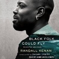 Cover: Black Folk Could Fly - Tantor Audio