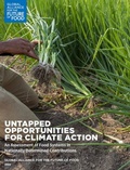 Cover: Untapped Opportunities for Climate Action - Robert Bosch Stiftung GmbH