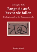 Cover: Fangt sie auf, bevor sie fallen - Brandes & Apsel