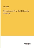 Cover: Why did he not die? or, The Child from the Ebraeergang - Anatiposi Verlag