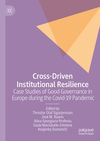 Abbildung von: Cross-Driven Institutional Resilience - Palgrave Macmillan