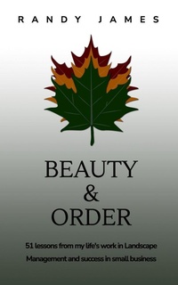 Enlarge image Cover: Beauty and Order - Blurb