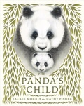 Cover: The Panda's Child - Otter-Barry Books