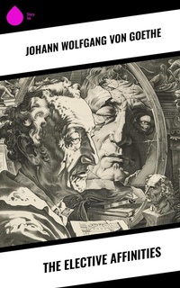 Enlarge image Cover: The Elective Affinities - Sharp Ink