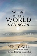 Cover: What in the World is Going On? - Green Fire Press