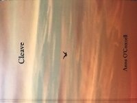 Enlarge image Cover: Cleave - Summer Palace Press