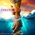 Cover: Predestined Life - Khomotjo Peter Mashita