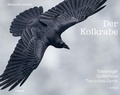 Cover: Der Kolkrabe - Totenvogel, G&ouml;tterbote, tierisches Genie - Haupt Verlag