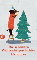 Cover: Die sch&ouml;nsten Weihnachtsgeschichten f&uuml;r Kinder - Insel
