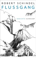 Cover: Flussgang - Suhrkamp