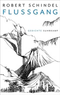 Cover: Flussgang - Suhrkamp