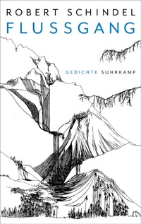 Abbildung von: Flussgang - Suhrkamp